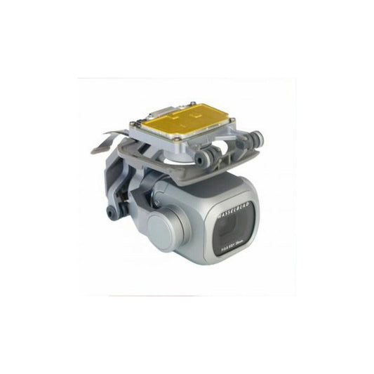 Gimbal camara